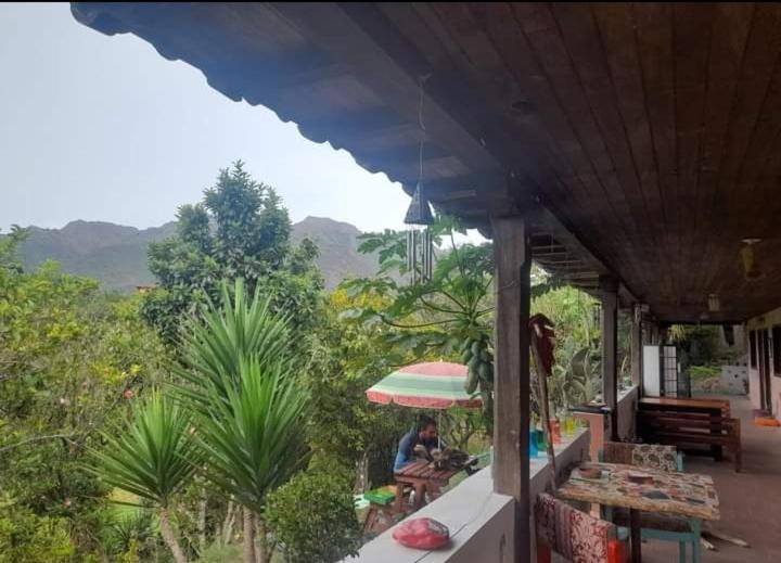 Matilda Ec Hostel Vilcabamba Buitenkant foto